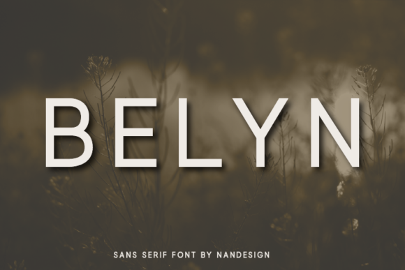 Belyn: A Modern Sans Serif Font for Editorial Design