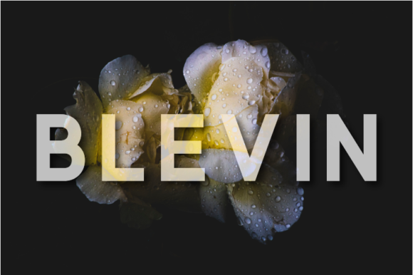 Blevin: A Modern Sans Serif Font for Stronger Branding