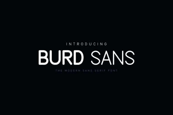 Burd Sans for Branding: A Designer’s Real-World Experience