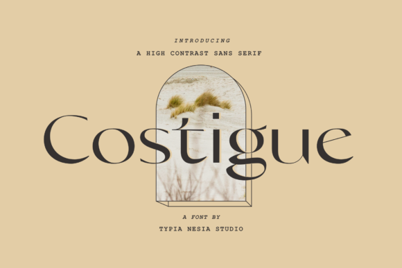 Costigue: A Modern Serif Font for Digital Projects
