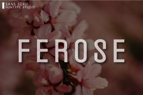 Ferose: A Modern Sans Serif for Cleaner Editorial Design