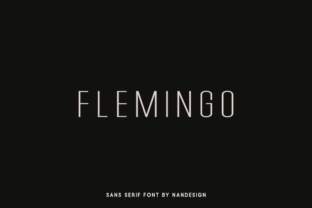 Flemingo: A Modern Sans Serif Font for Branding Projects