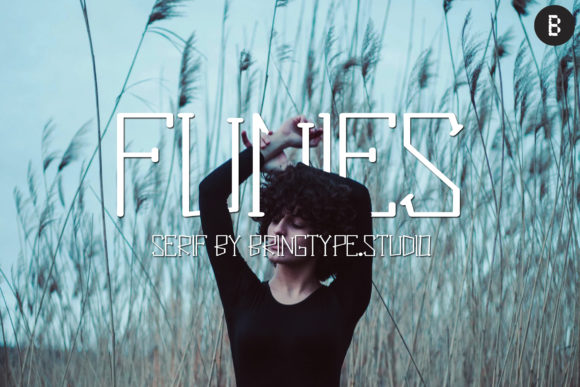 Funies: A Modern Serif Font for Editorial Elegance