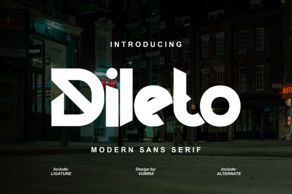 How Dileto Transformed My Brand’s Visual Identity