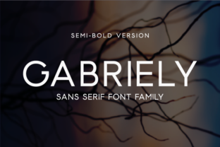 How Gabriely Semi Bold Transformed My Brand’s Visual Identity