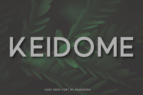 Keidome: A Modern Sans Serif Font for Clean Editorial Design