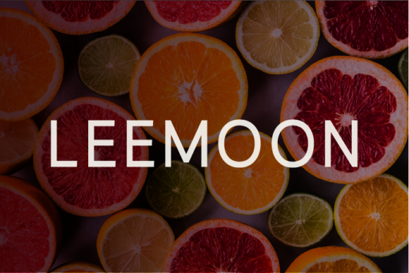 Leemoon: A Modern Sans Serif Font for Web Design