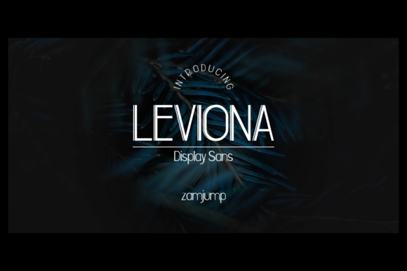 Leviona: A Modern Sans Serif Font for Web Design
