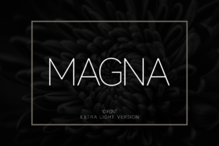Magna Extra Light: A Designer’s Take