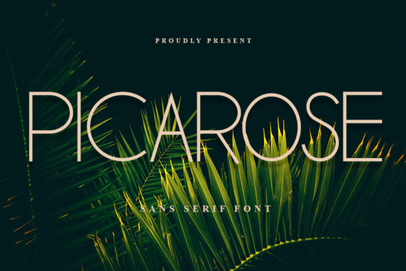 Picarose: A Modern Sans Serif Font for Campaign Creatives