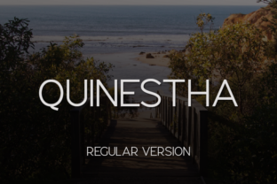 Quinestha: A Modern Font That Elevates Branding
