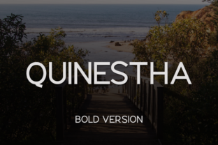Quinestha Bold: A Modern Sans Serif for Branding Projects