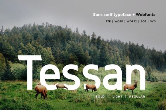 Tessan: A Modern Sans Serif Font for Web Projects