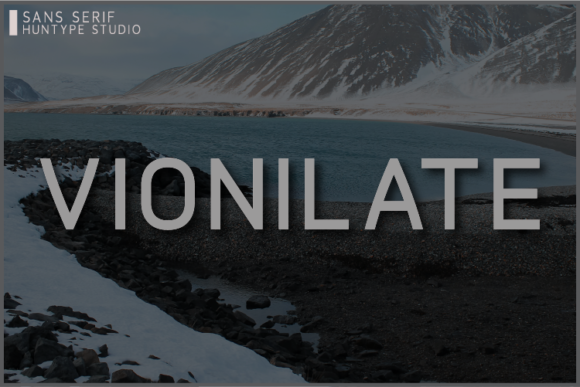 Testing Vionilate for a Modern Web Design Project