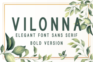 Vilonna Bold: A Font That Elevates Brand Identity