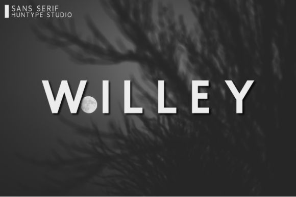 Willey Font for Professional Branding and Design